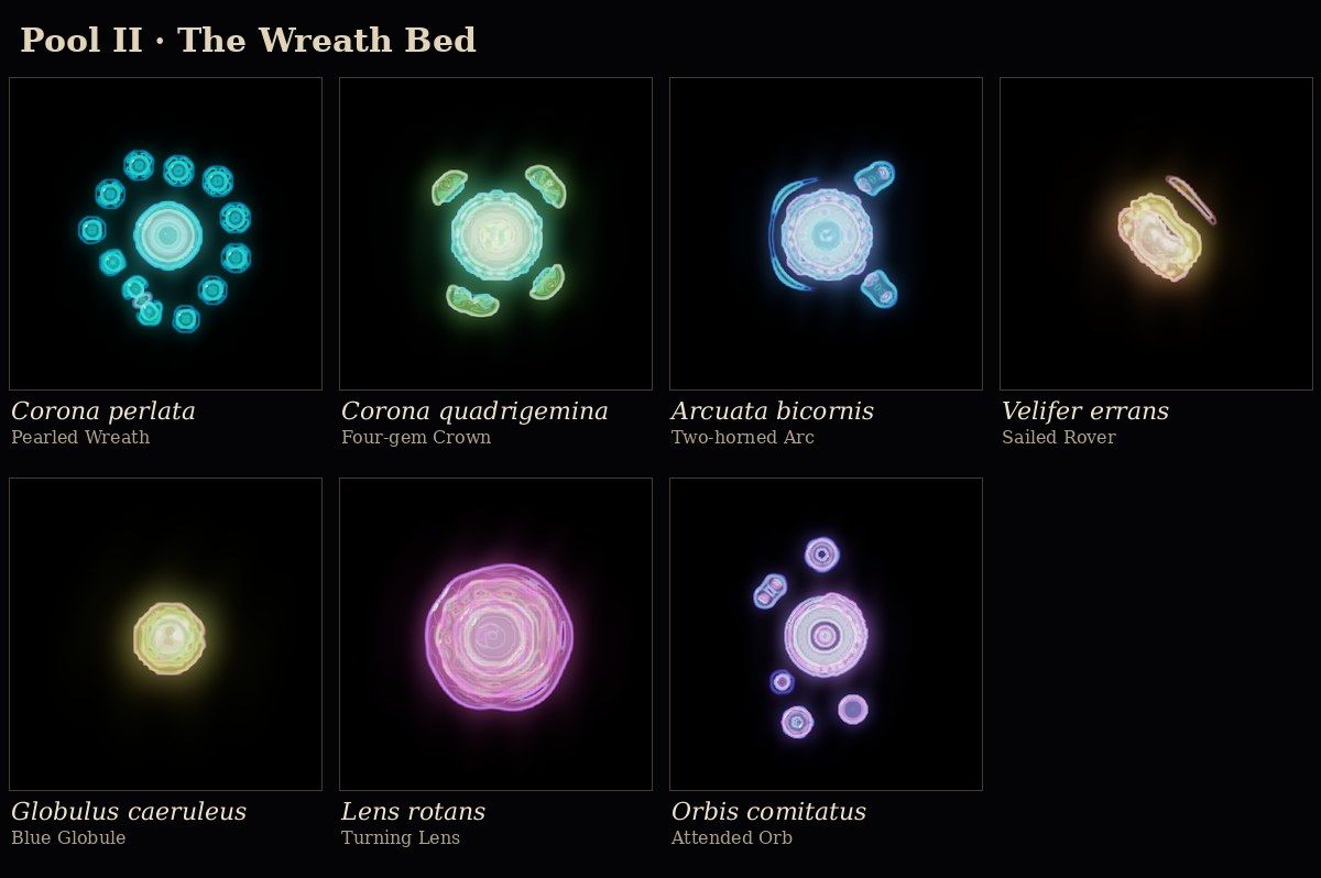 Plates of glowing Flow-Lenia creatures labelled with Latin names